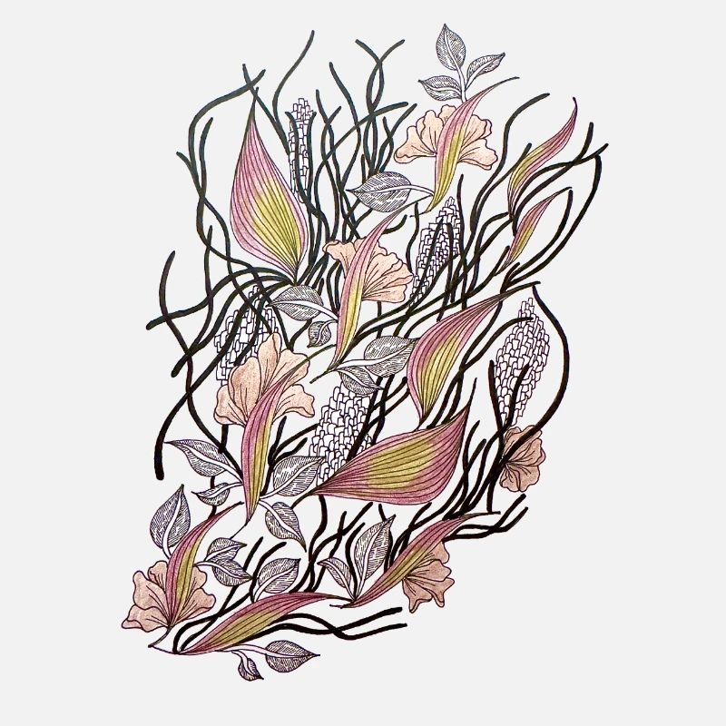 Réseaux floraux de ranoncule