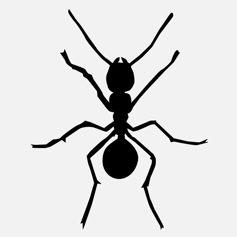 Ameise - Ant