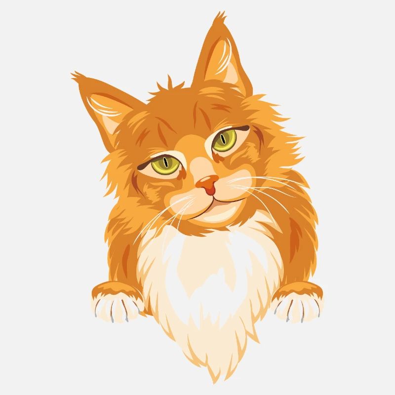 Chat roux timide et mignon