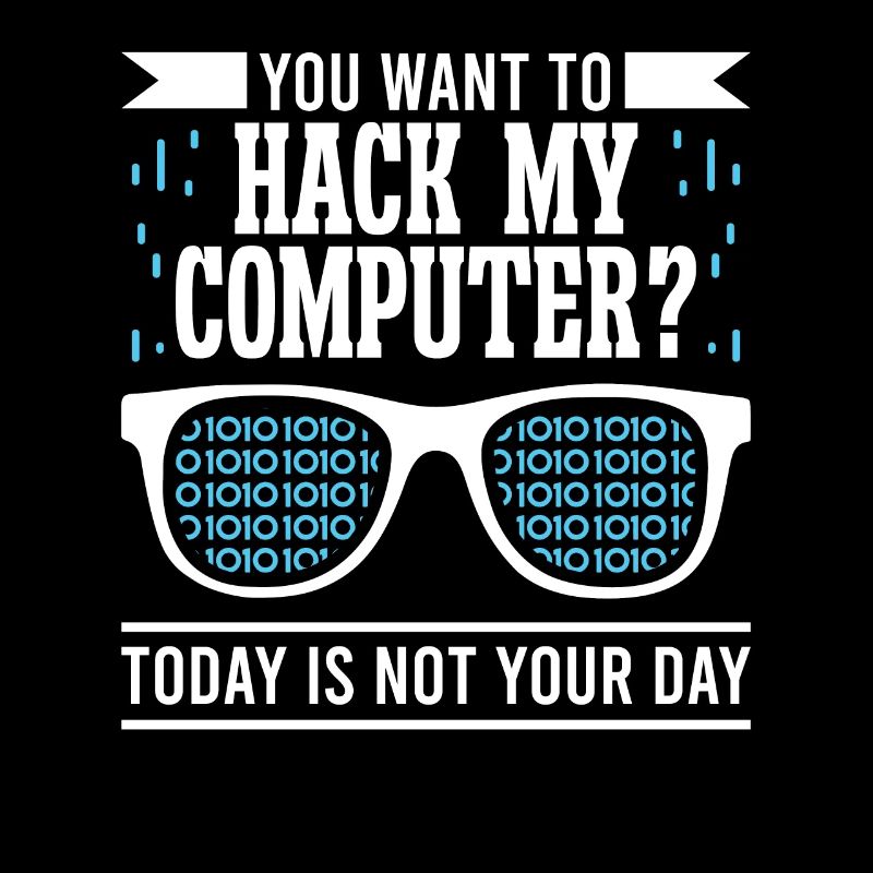 Software Developer You Want To Hack My Computer