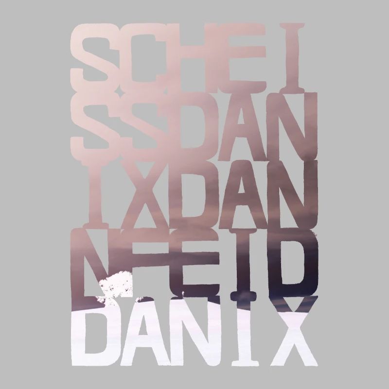 scheiss da nix dann feid