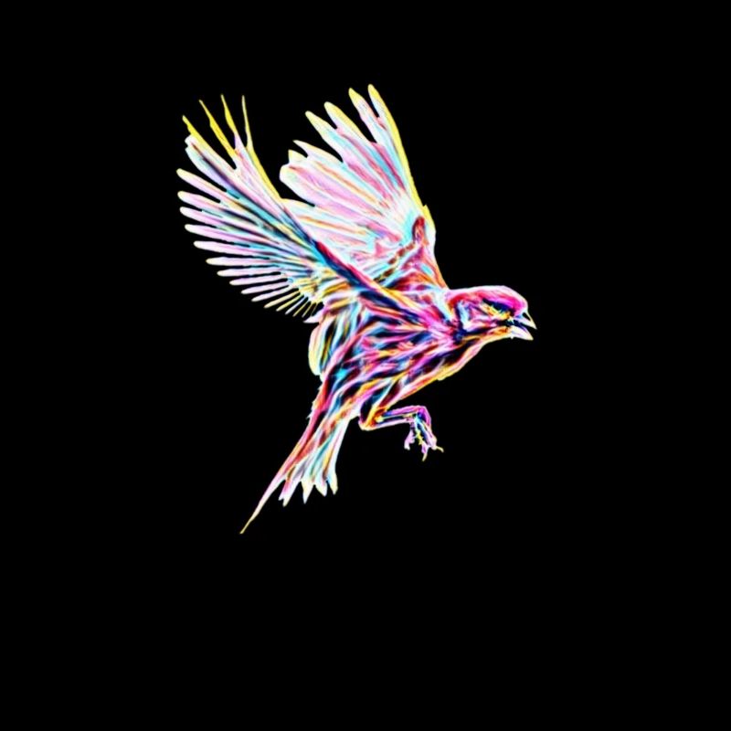 oiseau