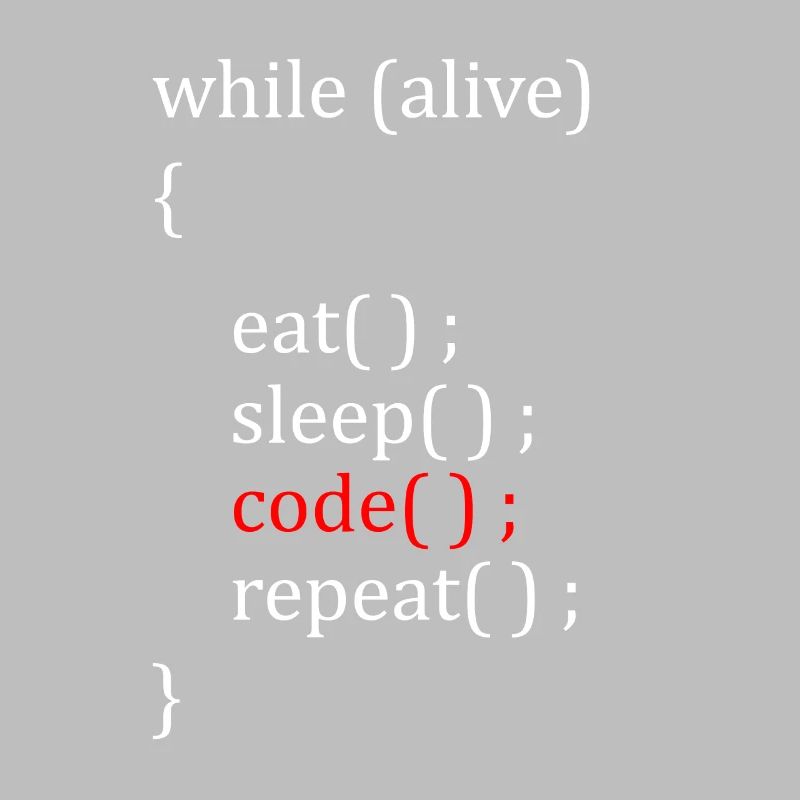 Computer Scientist Hobby