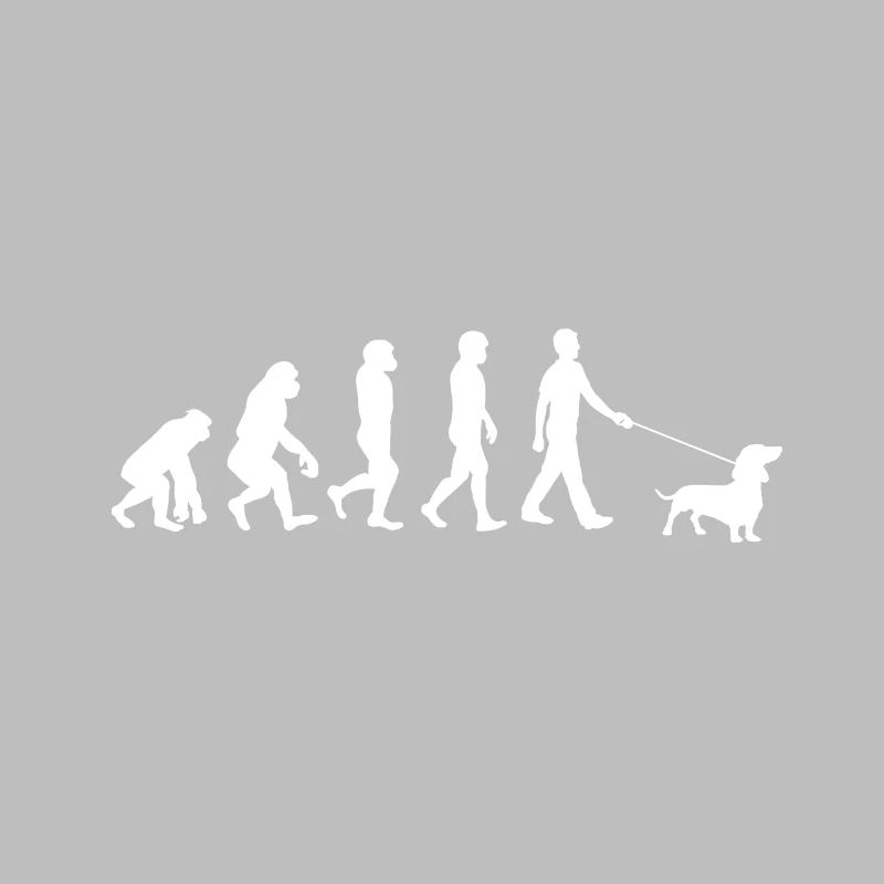 Evolution du teckel