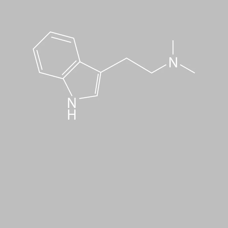 Molécule DMT Ayahuasca Dimethyltryptamine