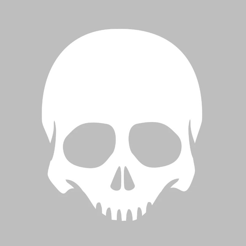 Skeleton Head Skull Skeleton