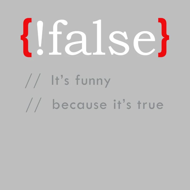 False It’s Funny Because It’s True Funny Programmi