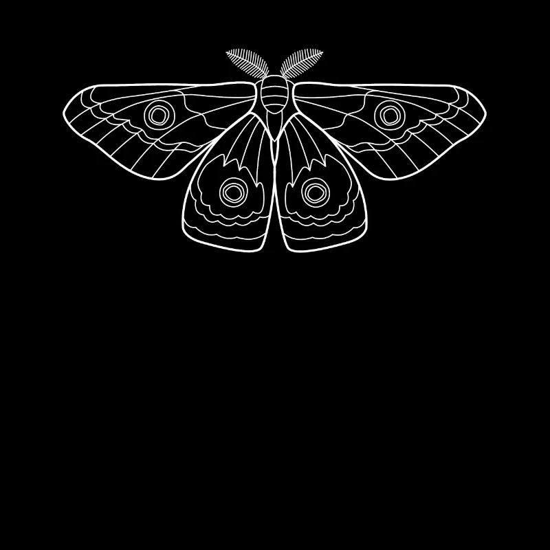 Moth Moth Butterfly Insects Gift
