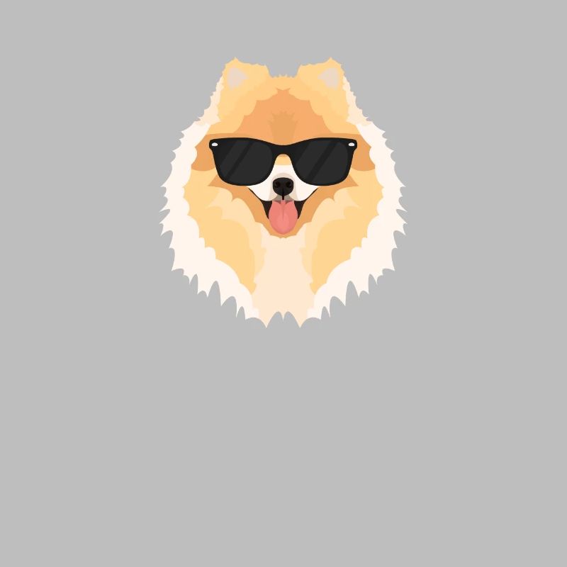 Mon spitz nain est le plus cool