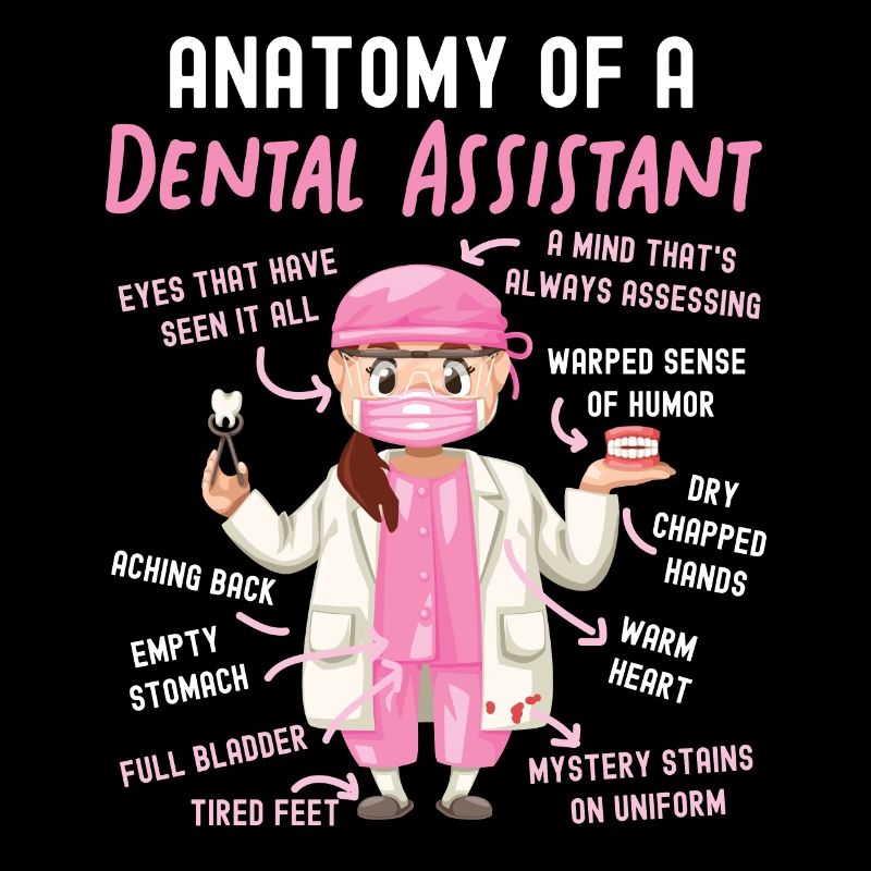 Assistant dentaire Anatomie Anatomie