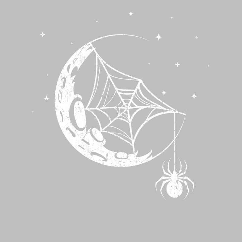 Spider Spider Web