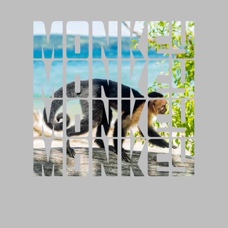 Monkey