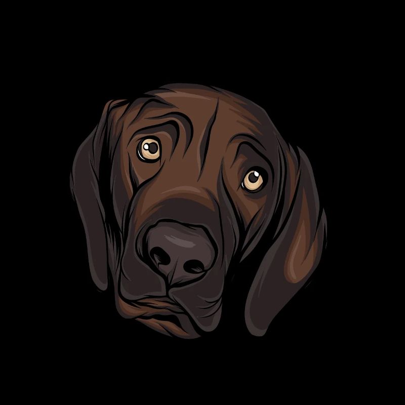 Labrador