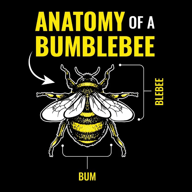 Antatomie d’un bourdon Bourdon Abeilles