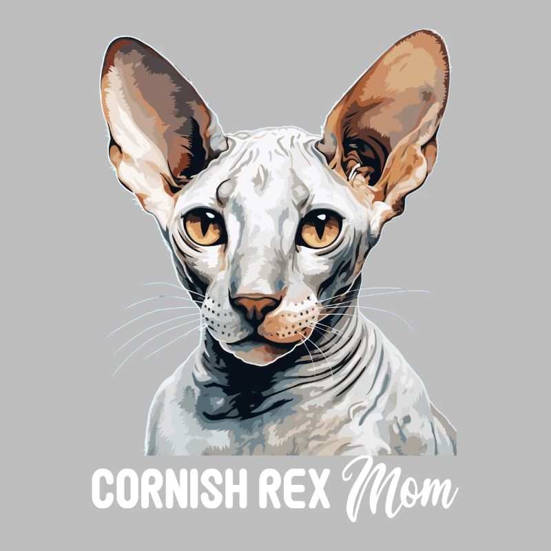 Cornish Rex Kitten Cornish Rex Cat