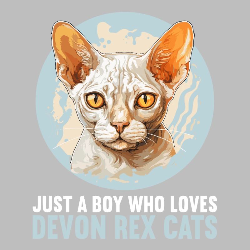 Devon Rex Kätzchen Devon Rex Katze