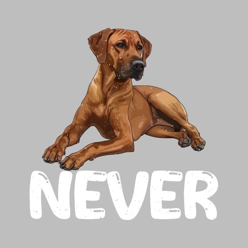 Rhodesian Ridgeback JAMAIS Sture Ridgebacks