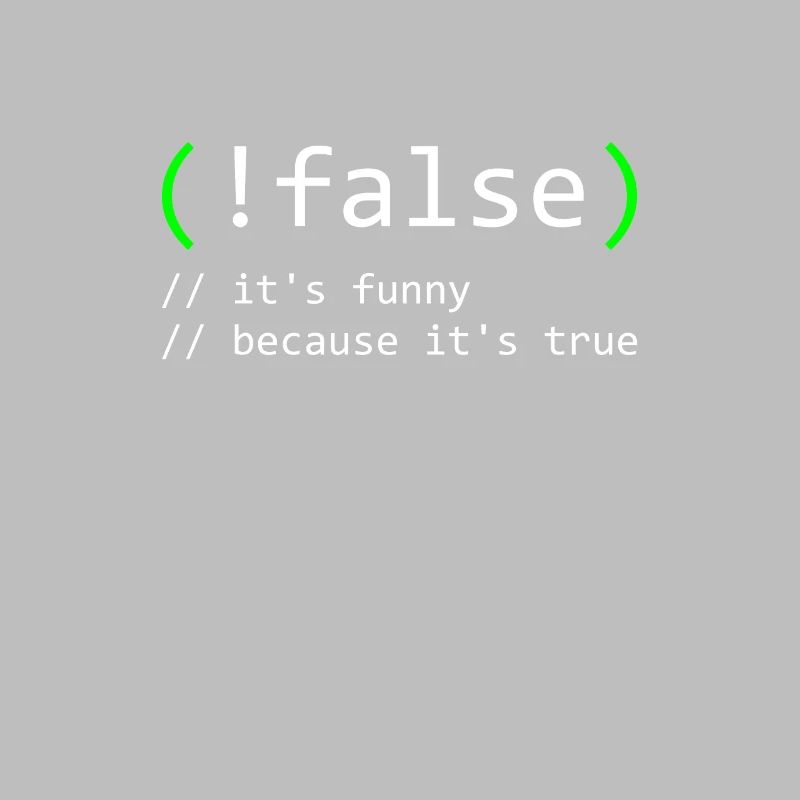 Programmer Humor false true funny Nerd Geek