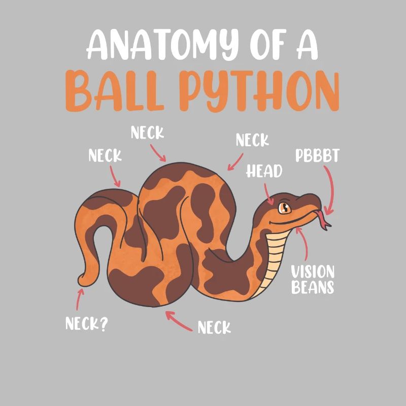 Serpents Anotomie d’un python de boule de python royalpython
