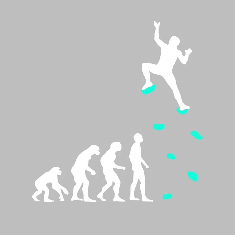 Klettern Evolution Klettergriffe Kletterwand
