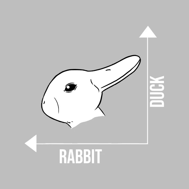 Rabbit Duck Graph Math Easter
