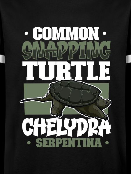 Snapping Turtle