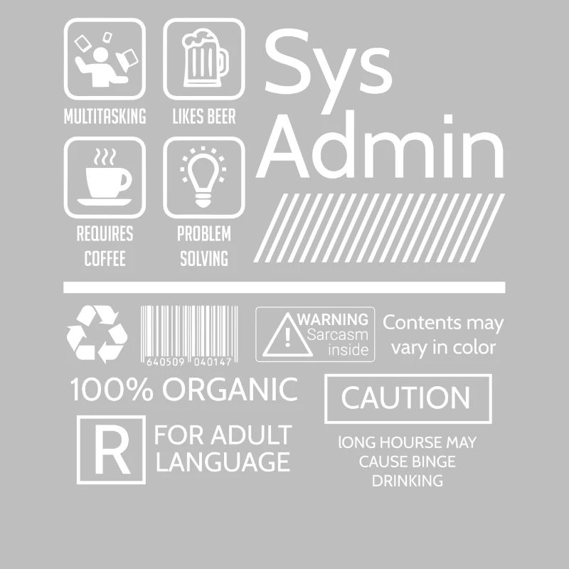 Administrateur système, Administrateur système