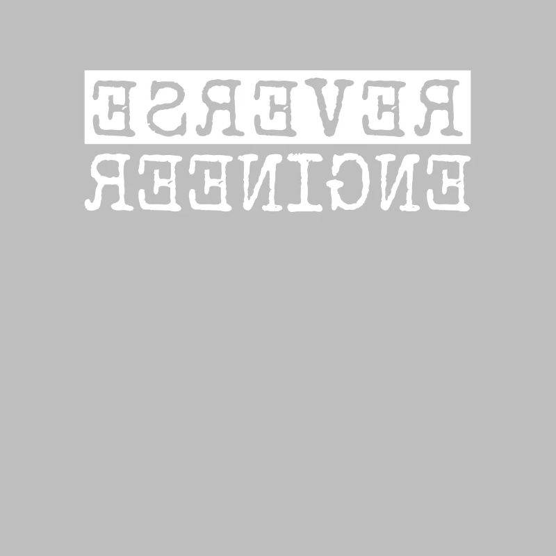 Reverse Engineer Softwareingenieur Developer