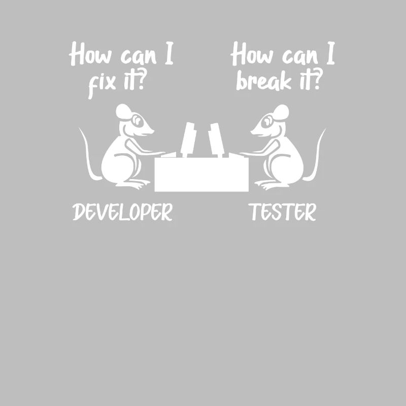 Softwareentwickler Programmierer Software