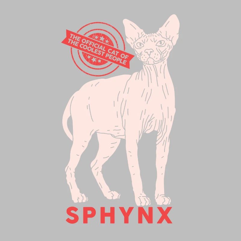 Sphynx chat sphinx cadeau de chat