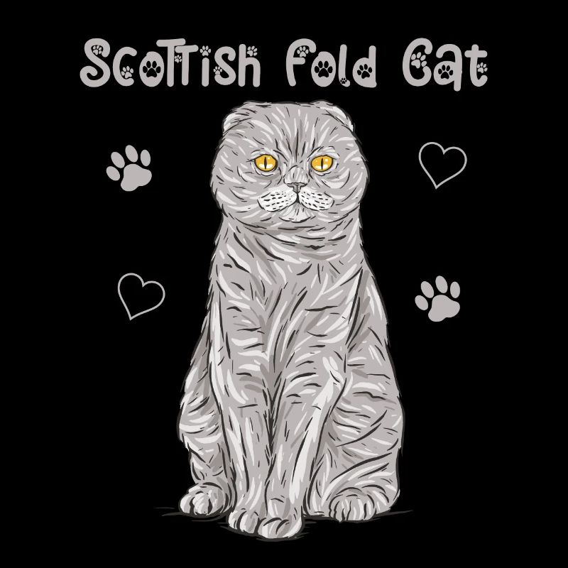 Scottish Folding Ear Cat Scottish Fold Gift