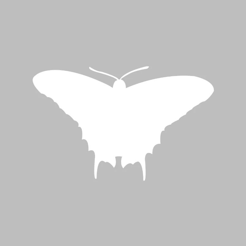 Moth