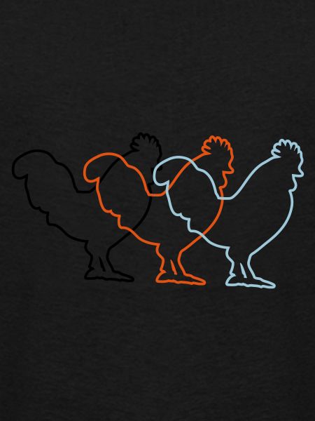 conceptions de poulet