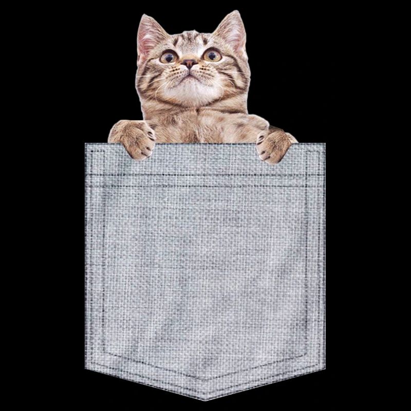 Pocket Cat Peeking Kitten