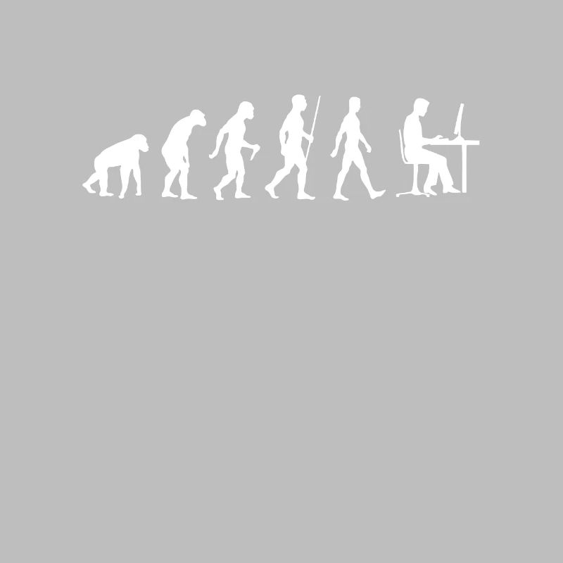 Les programmeurs Evolution développeur informatique