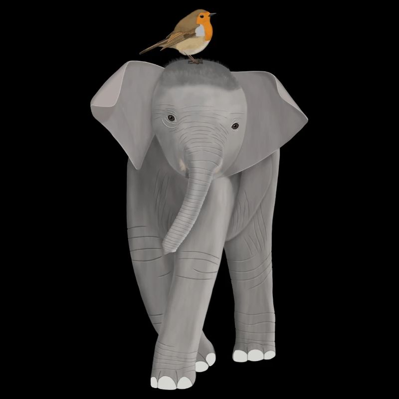 Elefant Rotkehlchen Vogel Tierfreund Biologe