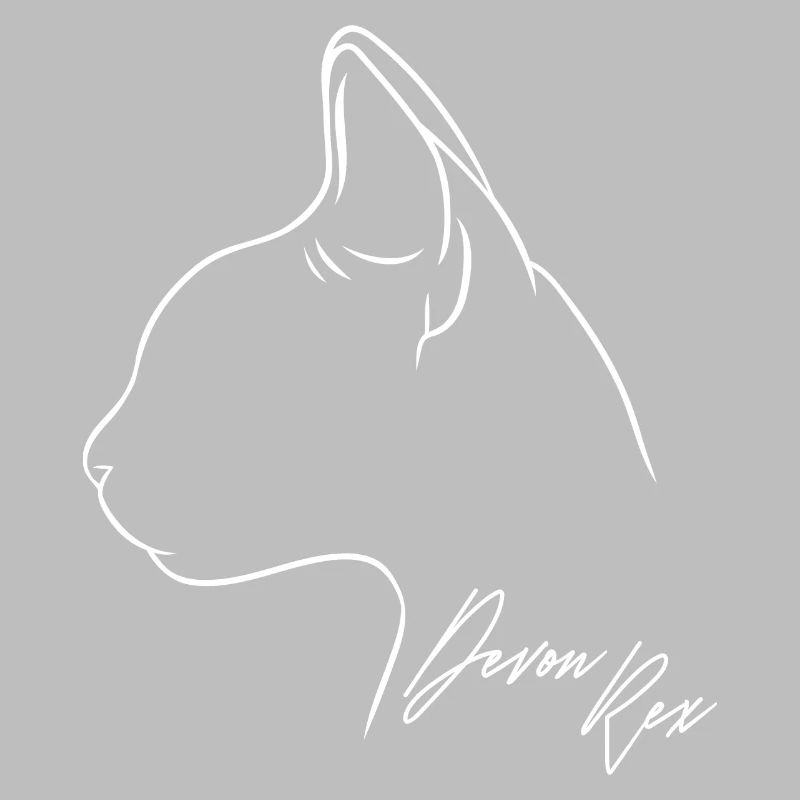 Devon Rex Profil Chat Chat Wilsigns