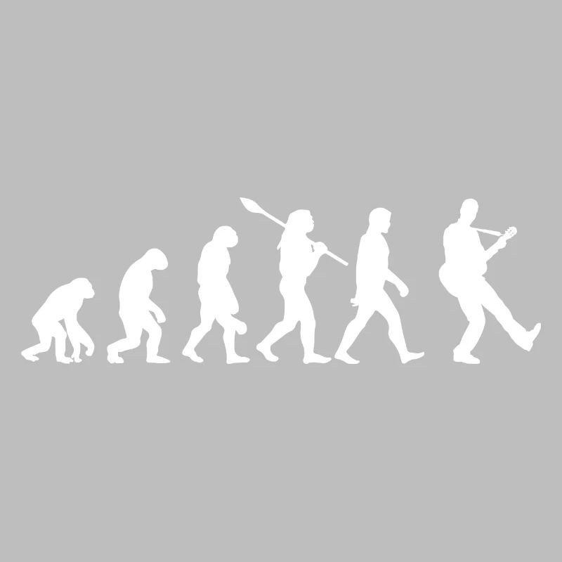 Guitare évolution