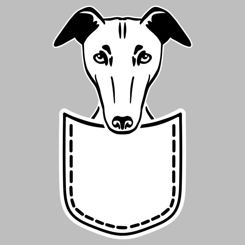 Whippet