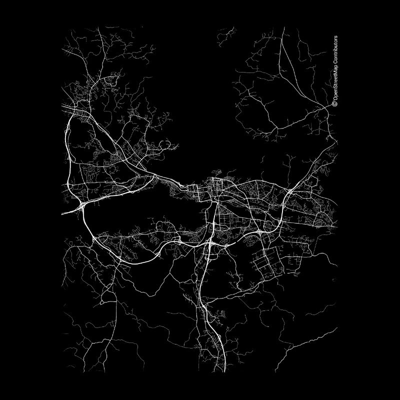 Plan et rues de Tampere