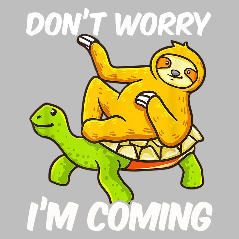 Sloth sloth lazy riding turtle