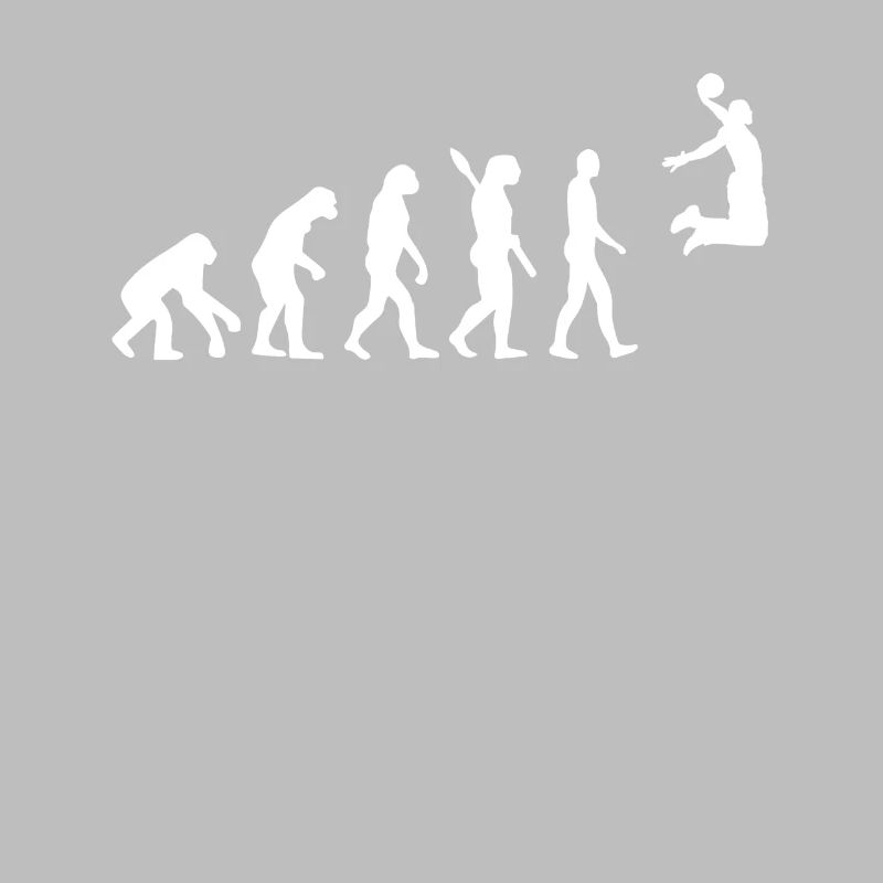 Evolution du basket