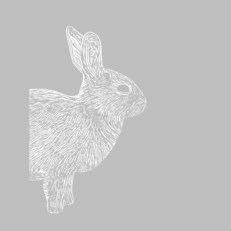 Rabbit Dwarf Rabbit