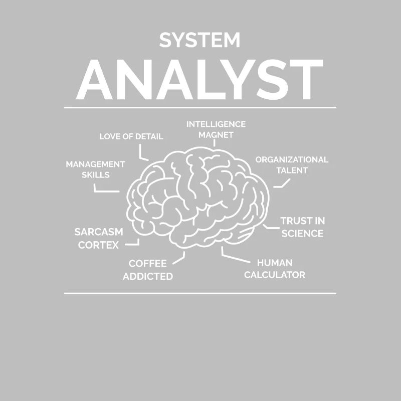 Analyste de systèmes
