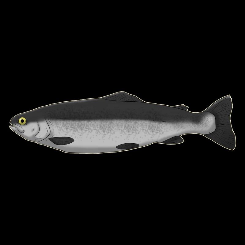 fish Fish