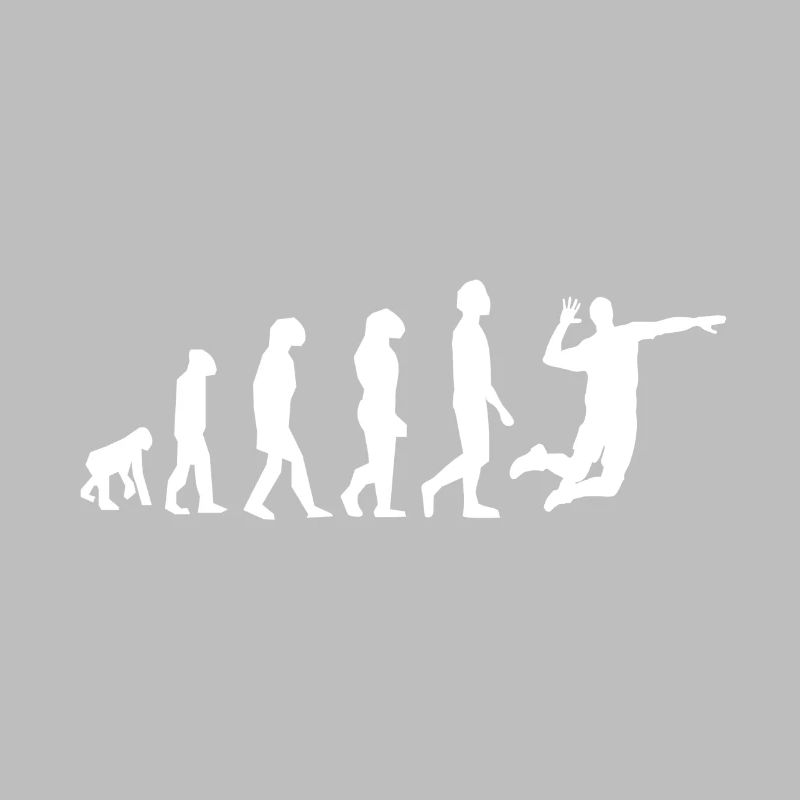 evolution volley