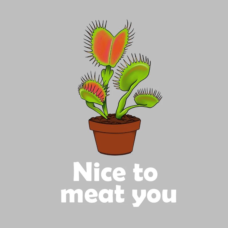 Venus flytrap plante carnivore cadeau
