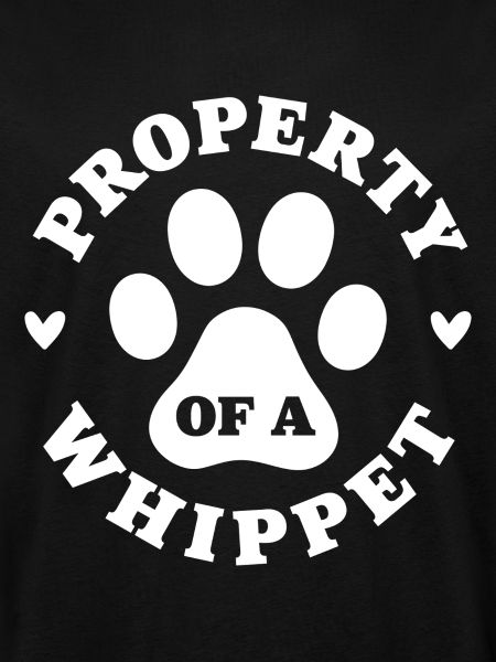 Propriété d’un Whippet
