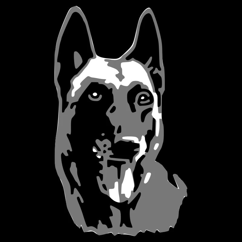 head malinois