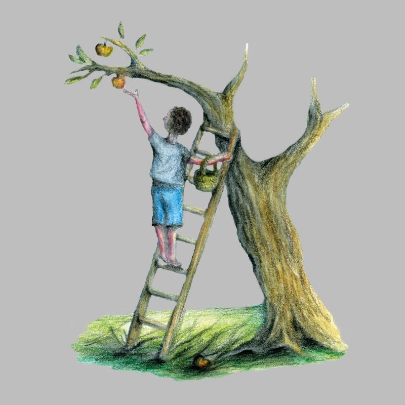 Apfelbaum